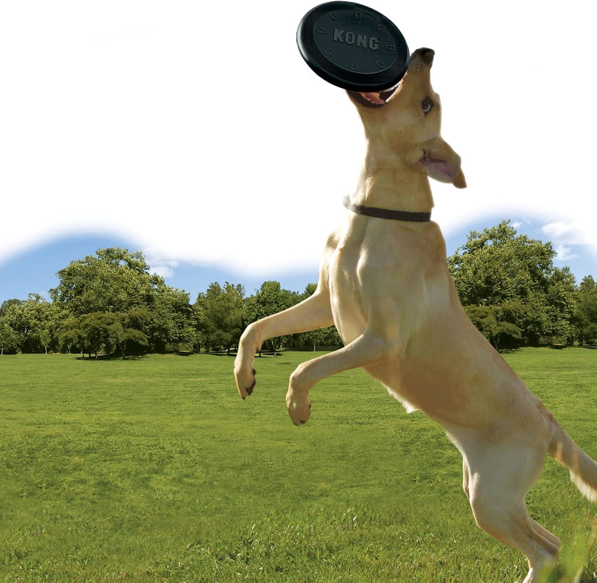 KONG Extreme Flyer, Durable Soft Rubber Flying Disc, for Large Dogs