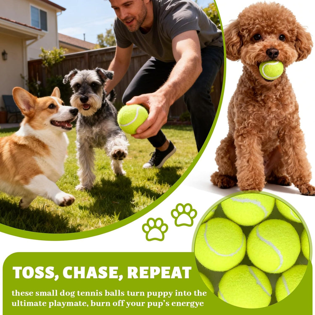 20 Pack Tennis Balls for Dogs, 2 Inch Dog Toys Balls with Mesh Bag
