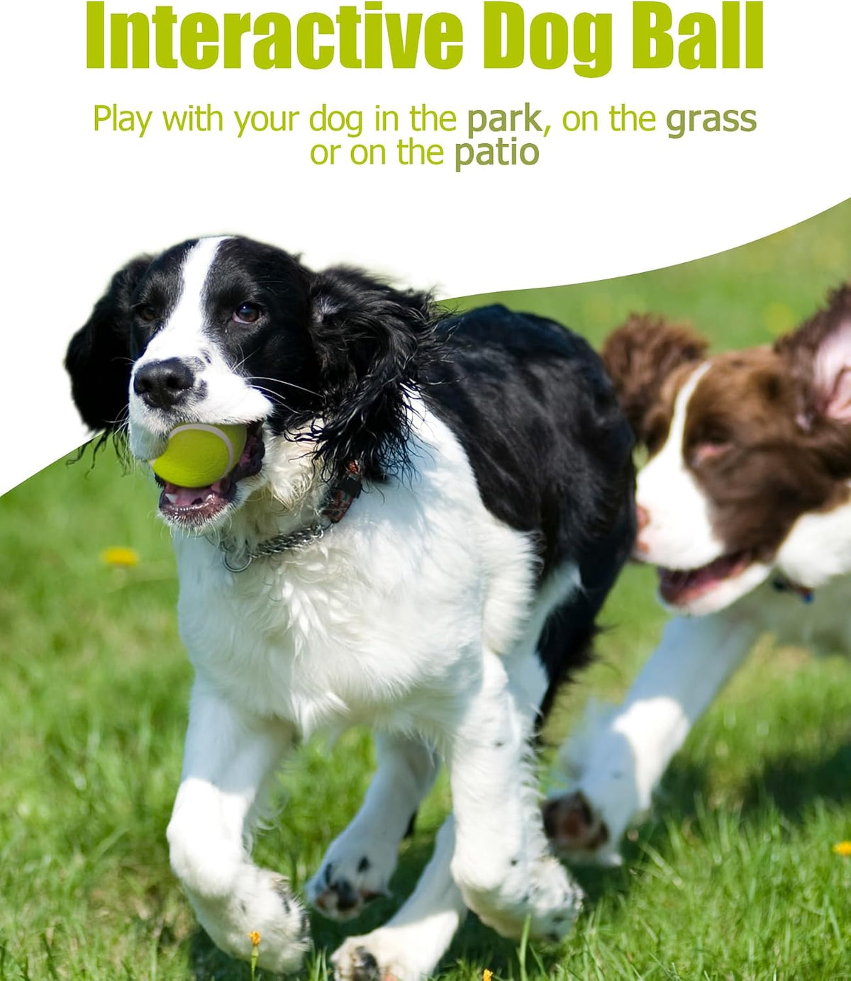 2-inches Interactive Dog Tennis Balls for Exercise and Training