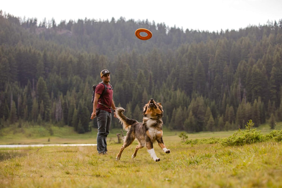 Ruffwear, Hydro Plane Flying Disc Dog Toy, Biolumin Blue, 9", Medium
