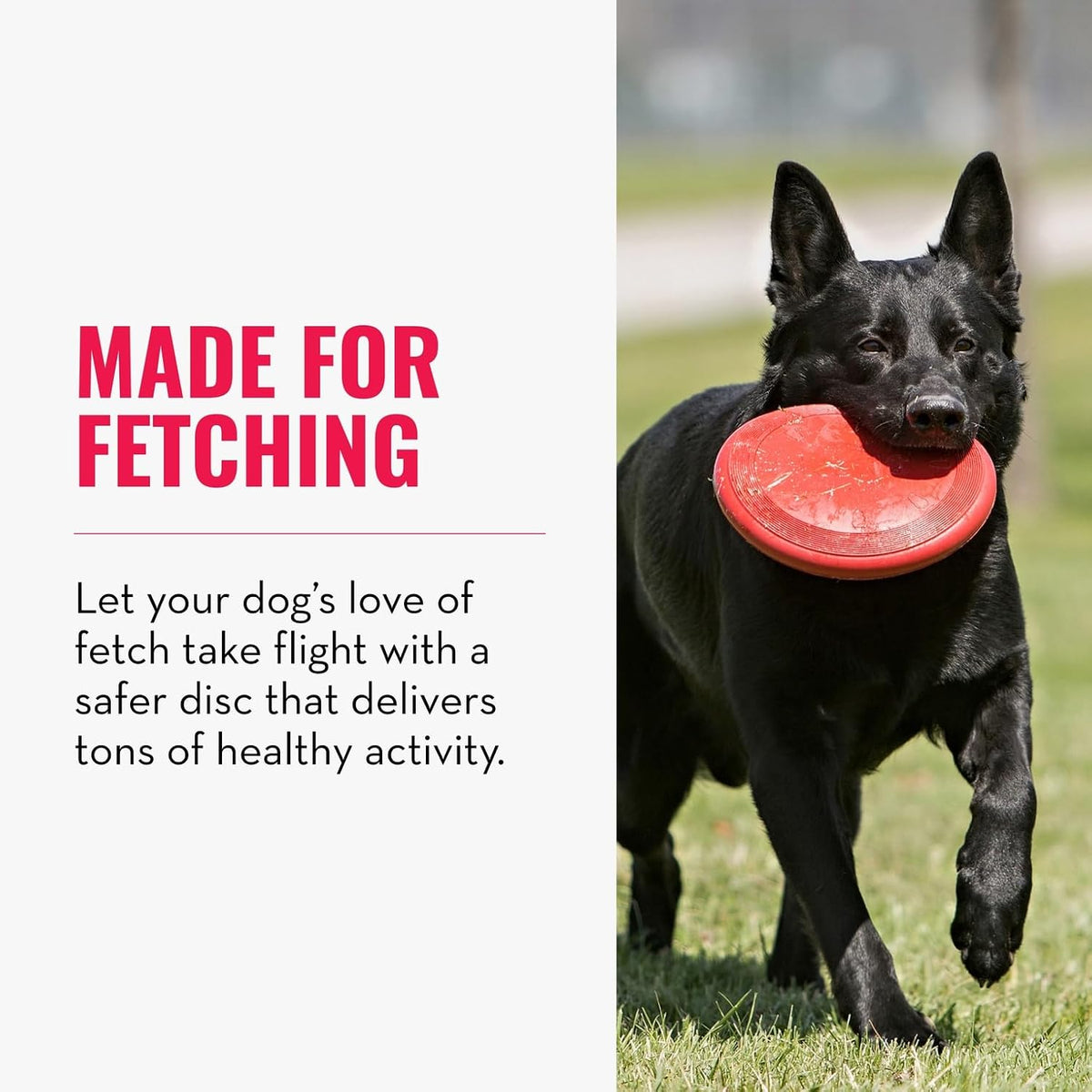 KONG Flyer, Natural Rubber Flying Disc Fetch Toy, for Medium/Large Dogs