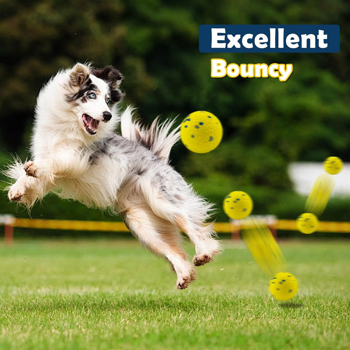 2 Pack Dog Balls Indestructible Tennis for Dogs Durable Bouncy Yellow, Blue