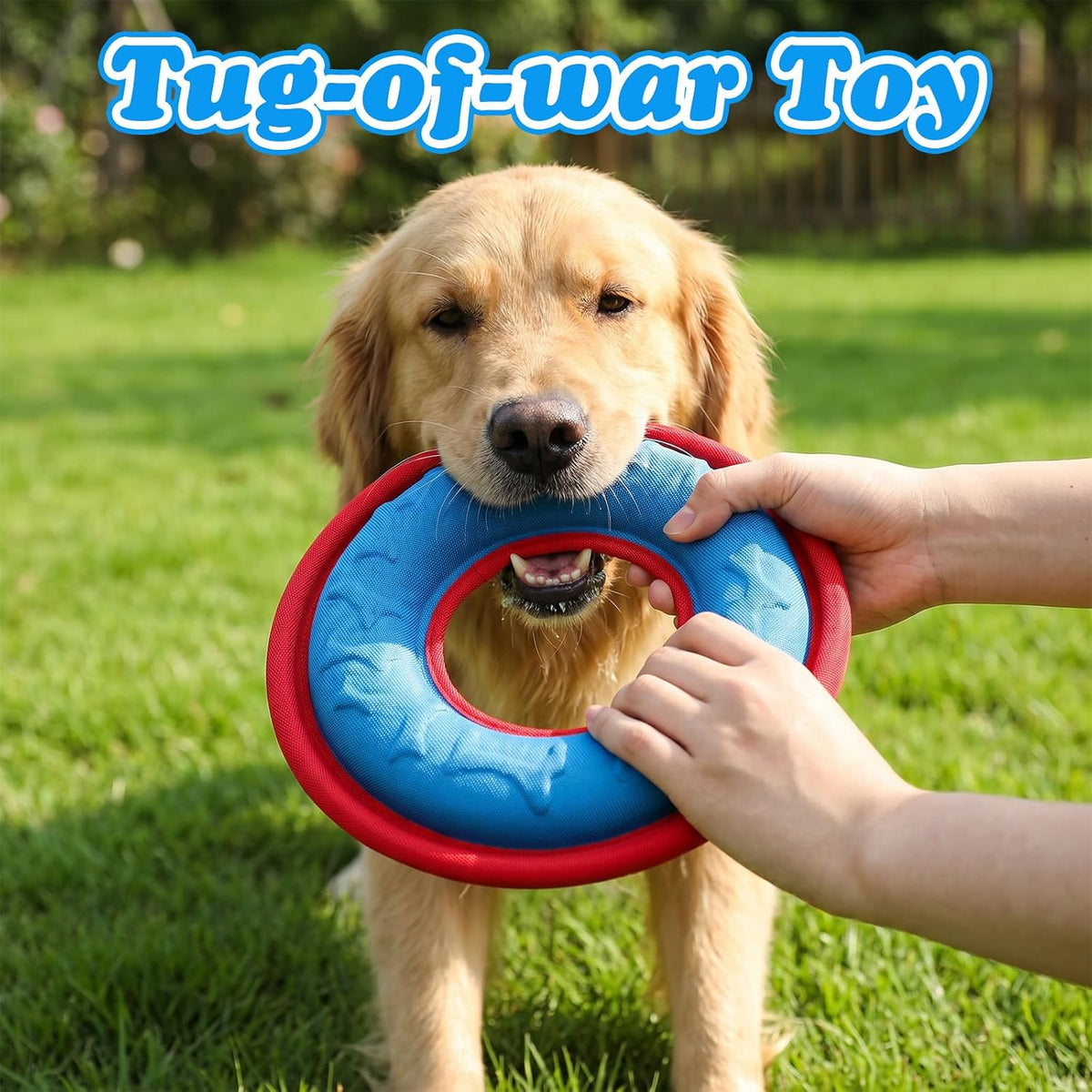 4 Pcs Dog Flying Discs Set 9.05 Inch Lightweight Nylon EVA Fetch Discs Float Water Safe Teeth Feedable Groove Design for Small Medium Large Dogs Blue Green Purple