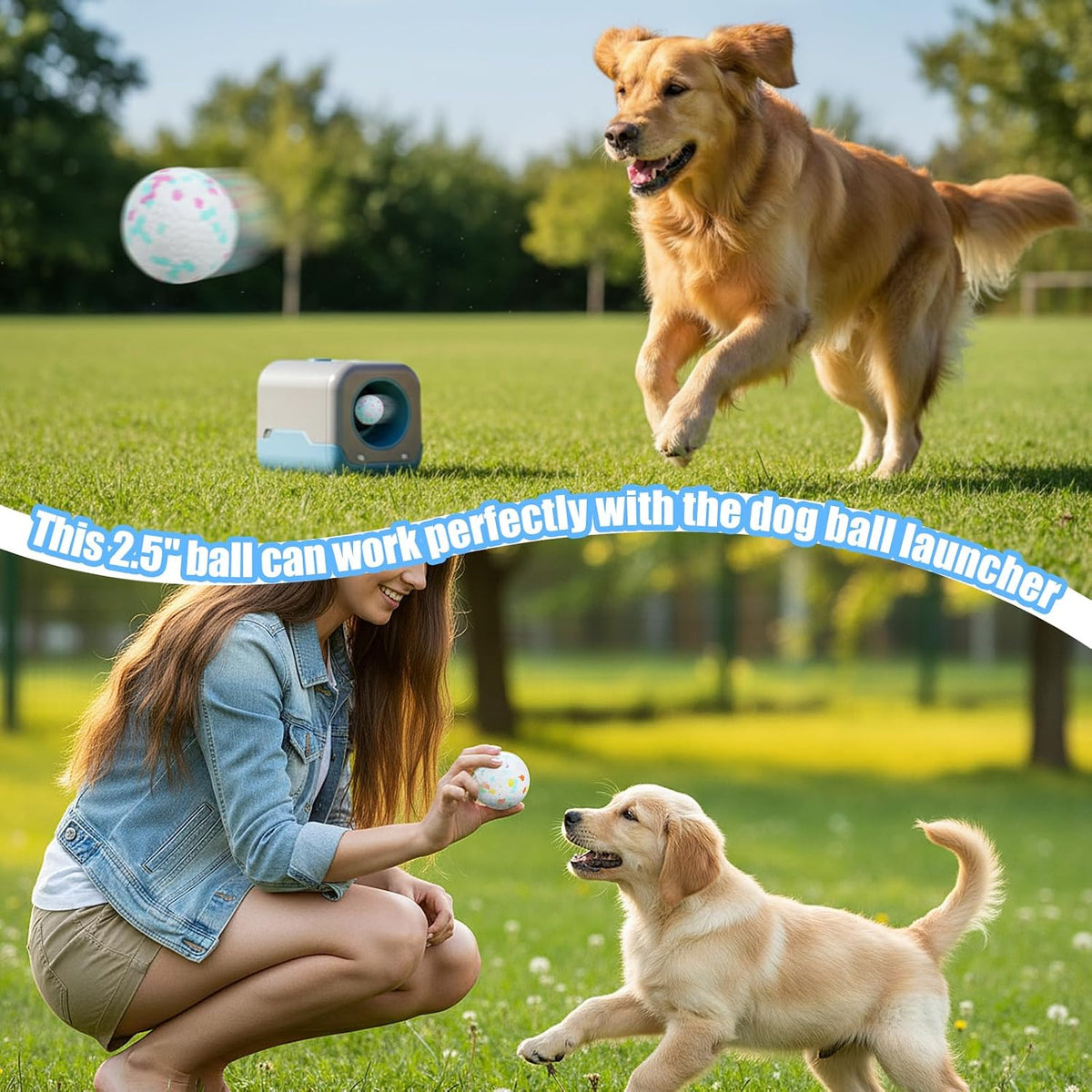 6 Packs 2.5 Inch Dog Ball, ETPU Dog Balls for Aggressive Chewers, Indestructible Bouncy Floating Tennis Balls for Large Medium Dogs, Tough Tennis Ball for Dogs Fetch Toy