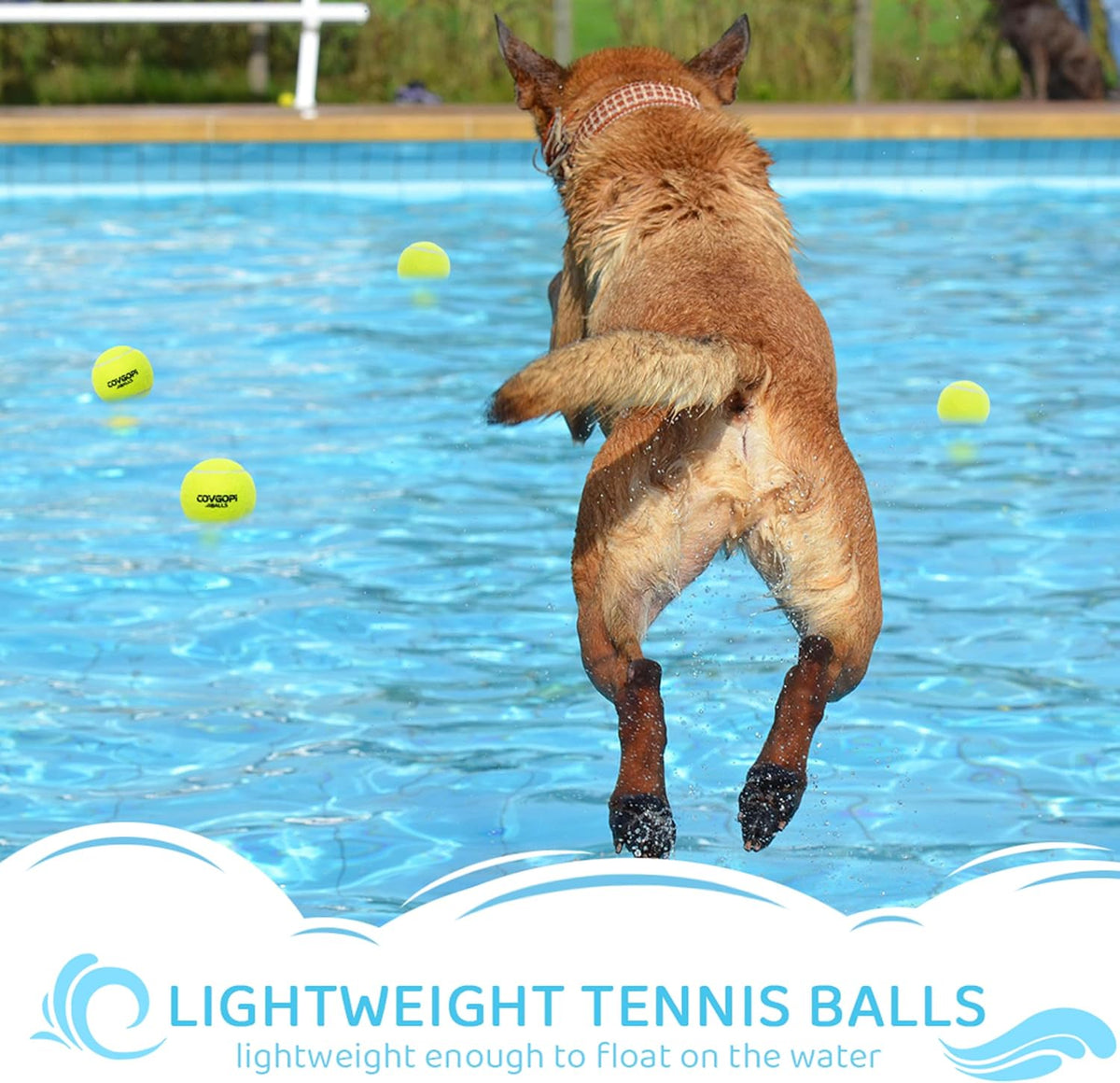 12-Pack Squeaky Dog Tennis Balls, 2.5" Interactive Rubber Toy Ball