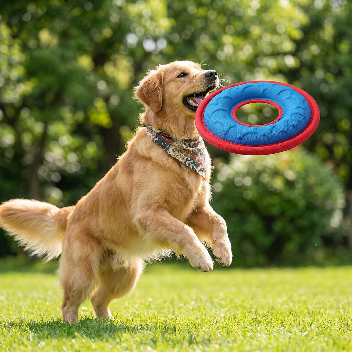 4 Pcs Flying Discs for Dogs, 9.05 Inch Interactive Catch Fetch Toys, Lightweight EVA Flyer Safe on Teeth, Floats in Water for Pool Beach Lake, Feedable Groove Design for Small Medium Large Pets