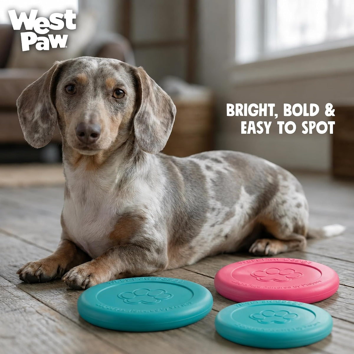 WEST PAW Zogoflex Zisc Dog Flying Disc, High Flying Aerodynamic Disc for Dogs Puppy – Lightweight, Floatable Disc for Fetch, Tug of War, Catch, Play – Doubles as Food/Water Bowl, Small 6.5", Teal