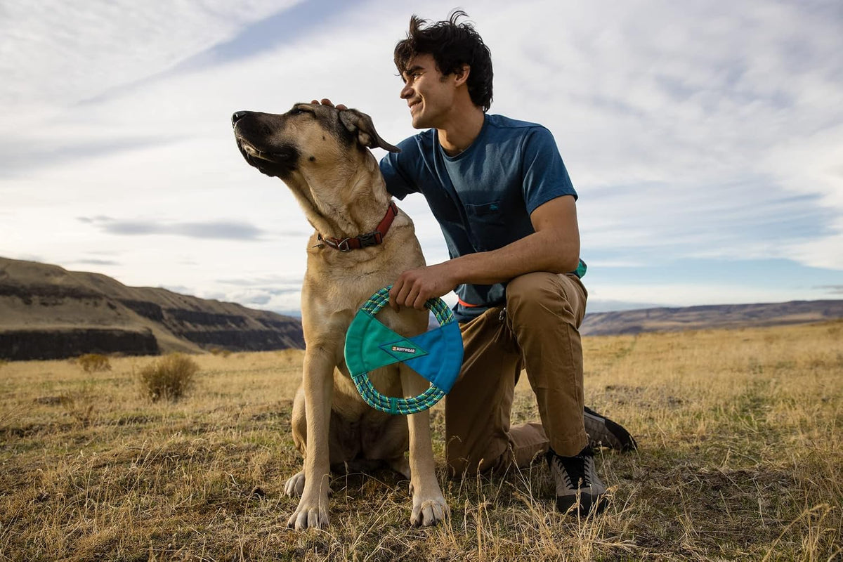 Ruffwear, Pacific Ring Dog Toy, Fetch and Tug, Aurora Teal