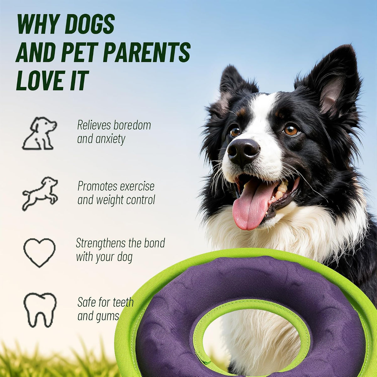 3 Pcs Flying Discs, Interactive Flyer Toys, Feedable Lightweight Catch and Fetch Toys for Small Medium Large Dogs, Floats in Water & Safe on Teeth, 9.05 Inch