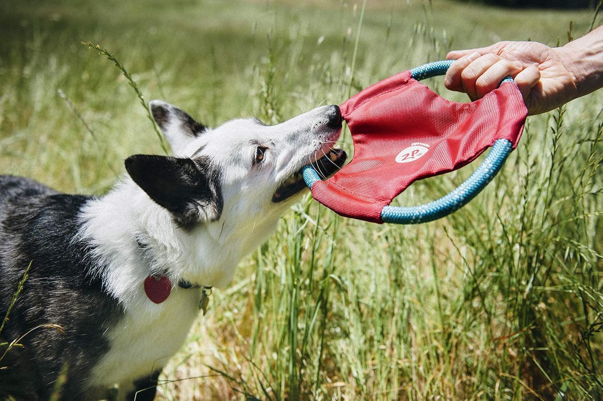 ZippyPaws Rope Gliderz - Durable Outdoor Dog Frisbee Toy, Soft Pet Flying Disc for Beach & Pool, Interactive Frisbee for Fetching, Made of Tough Mountain Climbing Rope - Magenta