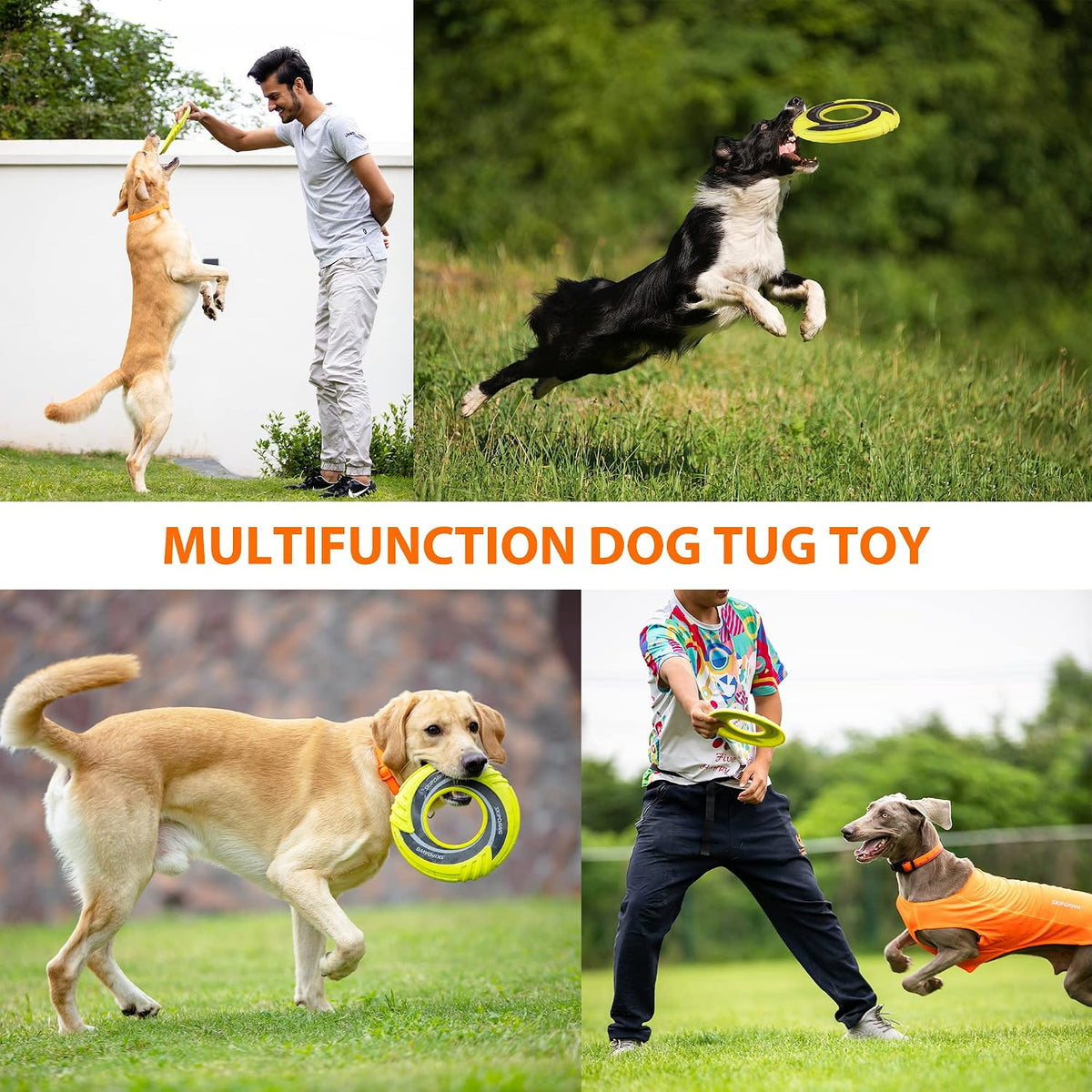 SKIPDAWG Interactive Tug Toy, Flying Disc Water Toy Non-Toxic Light TPR/Nylon Fabric, Pet Training and Outdoor Exercise Toys for Dogs, Diameter 9 Inches