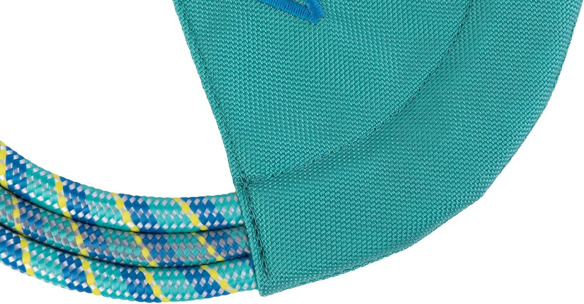 Ruffwear, Pacific Ring Dog Toy, Fetch and Tug, Aurora Teal