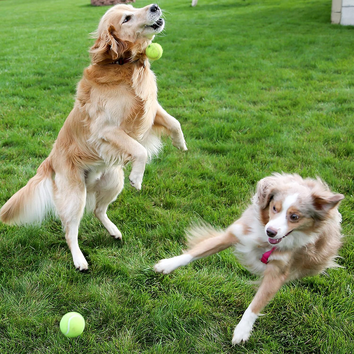 12-Pack Squeaky Dog Tennis Balls, 2.5" Interactive Rubber Toy Ball
