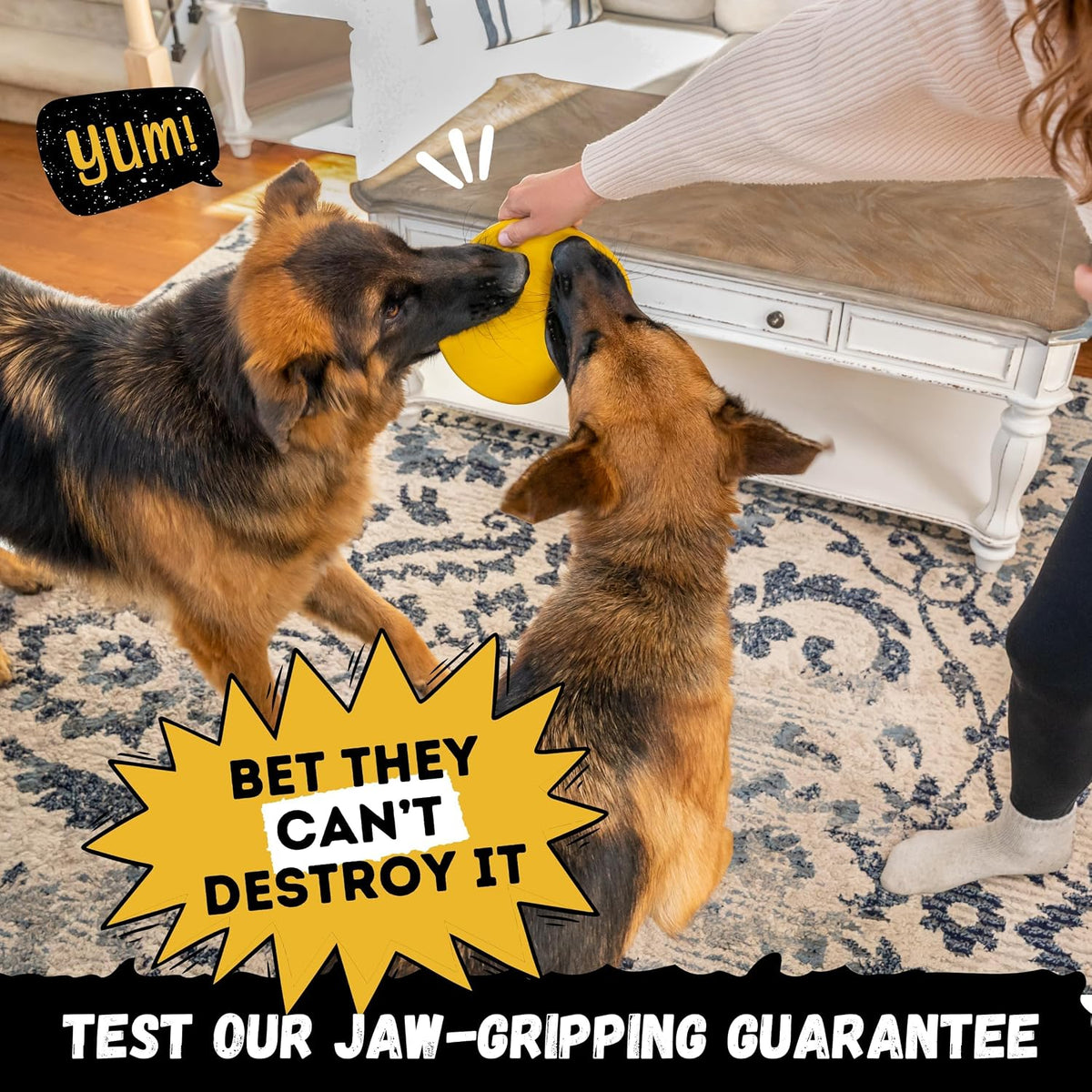 "Indestructible Dog Disc - Lifetime Replacement - Medium & Large Breed - Ultra Durable for Aggressive Chewers - Tough & Strong, Heavy Duty Natural Rubber Toy - Fetch, Tug, & Chew - 8in