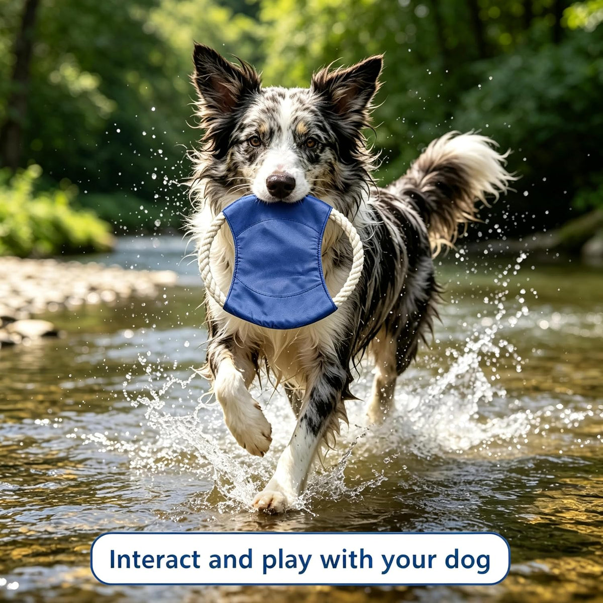 5 Pack Canvas Dog Flying Disc, 7.5in Floating Teeth Safe Fetch Toy for Medium Large Dogs